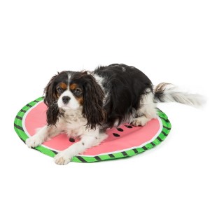 Gf Pet Watermelon Pet Cooling Mat Pets At Home