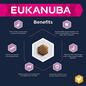 eukanuba small breed puppy food