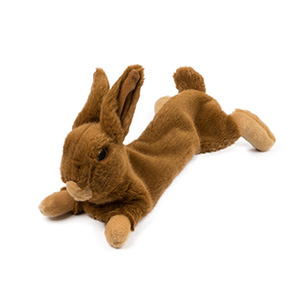bunny dog toy