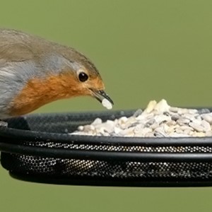 rspb table mix