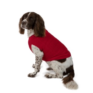 red dog sweater large