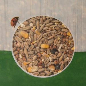 wild bird seed 20kg pets at home