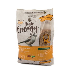 bird feed pets at home