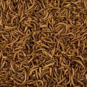 pets at home dried mealworms