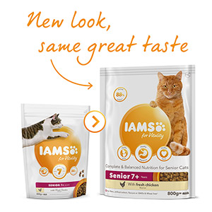 Iams Dry Senior Cat Food Chicken 800g Pets At Home