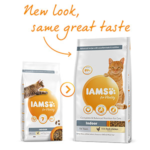 Iams Indoor Dry Adult Cat Food Chicken 2kg Pets At Home