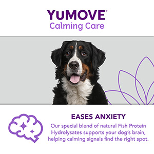 Calming care hotsell for dogs