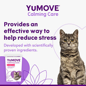 Yumove advance cat hot sale pets at home