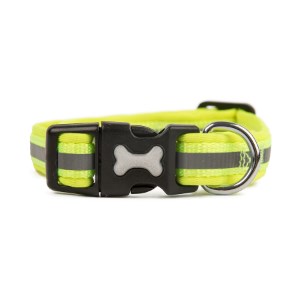 flashing dog collar pets at home