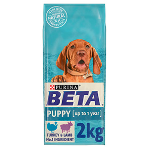 Beta puppy pets cheap at home