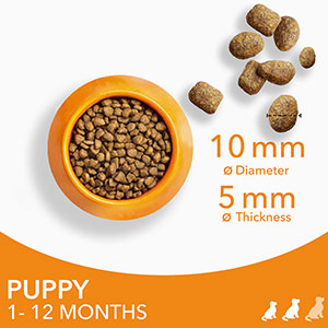 Iams puppy 2025 food feeding chart