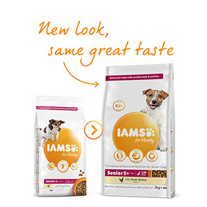 Iams for hotsell senior dogs