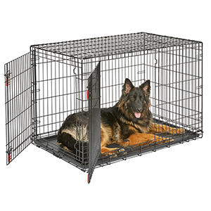 kong large dog crate