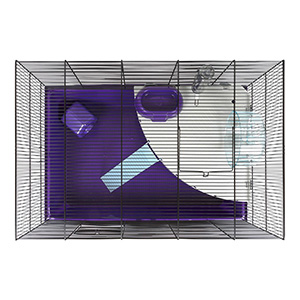 Pets at clearance home xl cage