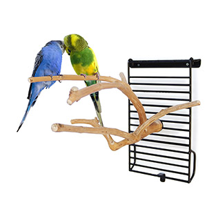 Java Wood Multi-Branch Bird Perch X Small