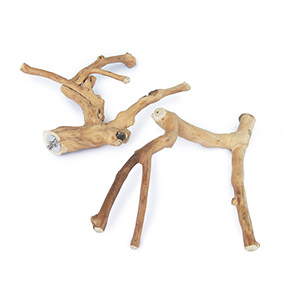 Java Wood MultiBranch Bird Perch Small