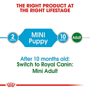 Royal canin mini 2024 puppy wet food