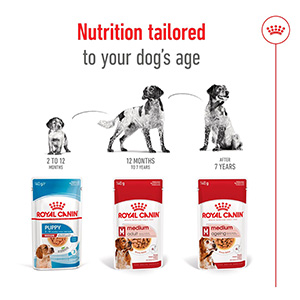 Royal canin medium discount puppy wet food