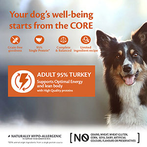 wellness core 95 turkey