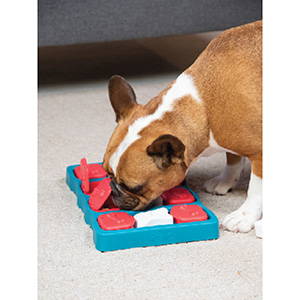 Nina Ottosson Dog Brick Interactive Treat Puzzle Dog Toy, Blue - Level 2  (Intermediate)