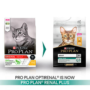 Pro Plan Renal Plus Dry 1 Adult Cat Food Chicken 1.5kg Pets At Home