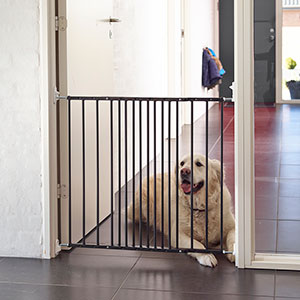 extra tall extending metal pet gate