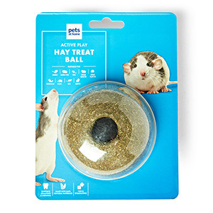 Hamster ball pets store at home