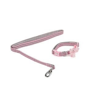 puppy collar and lead set
