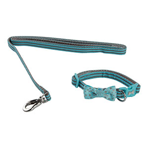 puppy collar and lead set