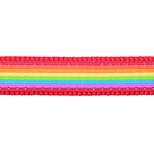 red dingo rainbow lead