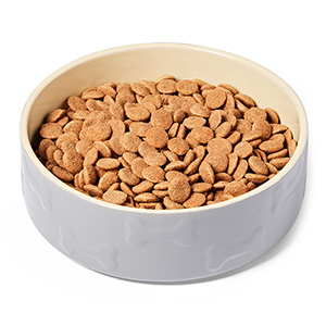 Cat food hot sale large kibble