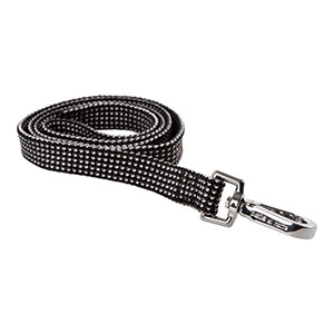 pets at home dog leads