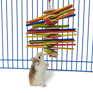 pets at home hamster toys