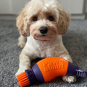 Dog muddy clearance paw cleaner