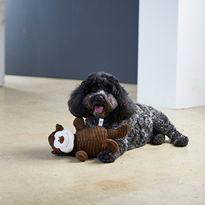 Pets at home clearance monkey dog toy