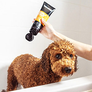 Curly hair hot sale dog shampoo