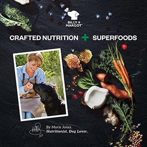 Billy & margot discount dog food review