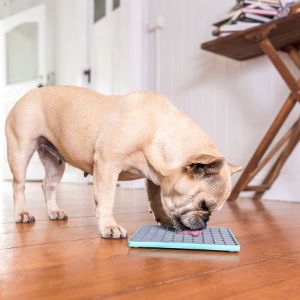 pets at home feeding mat