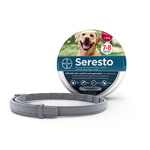 electric dog collar pets at home