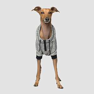 pets at home dog hoodie