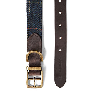 Sniff My Butt Navy Blue Leather Dog Collar – Broughton & Co
