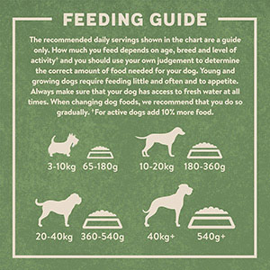 Harringtons Complete Natural Dry Adult Dog Food Salmon & Potato 12kg ...