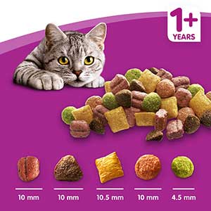 Whiskas 1+ Salmon Dry Adult Cat Food  | Pets At Home