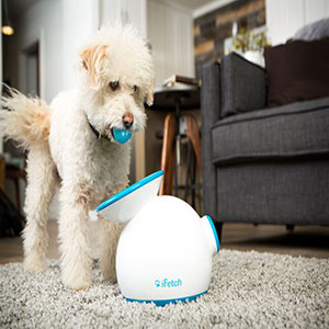 pets at home dog ball thrower