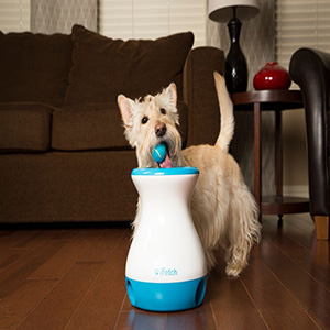 dog ball launcher pets at home