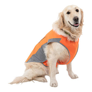 dog vest