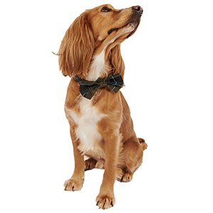 Barbour Dog Bow Tie Green | Pets At Home