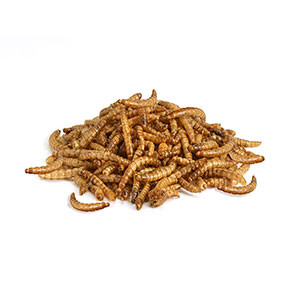 pets at home dried mealworms