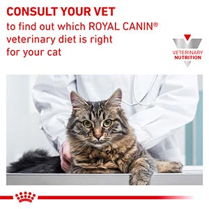 Royal Canin Veterinary Urinary S O Adult Wet Cat Food Morsels in