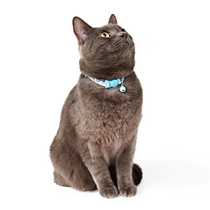 Liberator cat collar pets hotsell at home